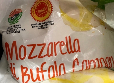 meilleure mozzarella industrielle